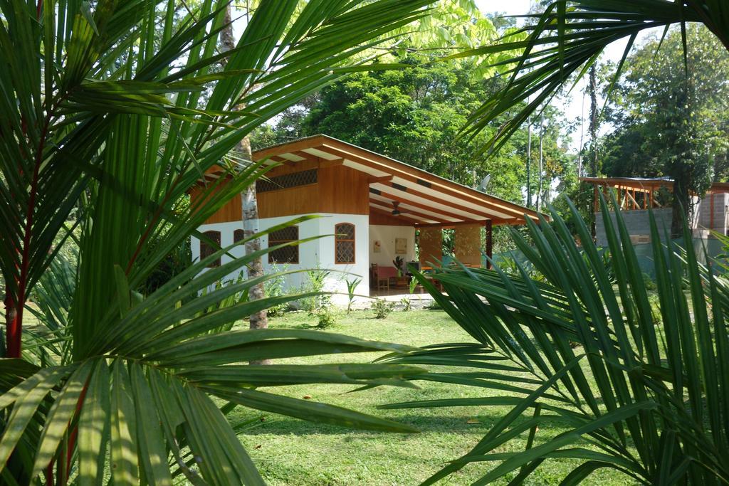 Puerto Viejo de Talamanca Los Delfines Lodge חדר תמונה