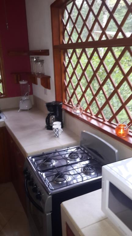 Puerto Viejo de Talamanca Los Delfines Lodge חדר תמונה