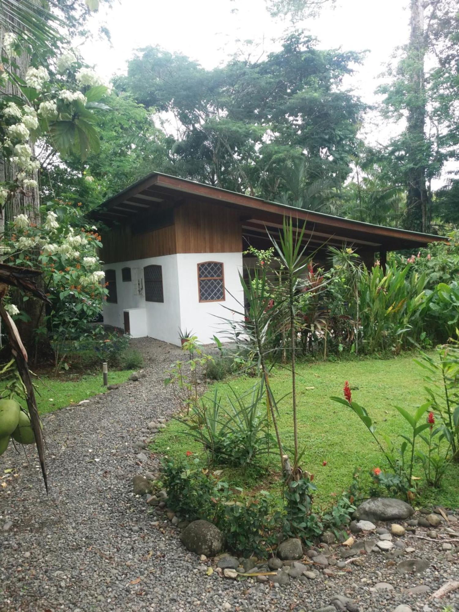 Puerto Viejo de Talamanca Los Delfines Lodge מראה חיצוני תמונה