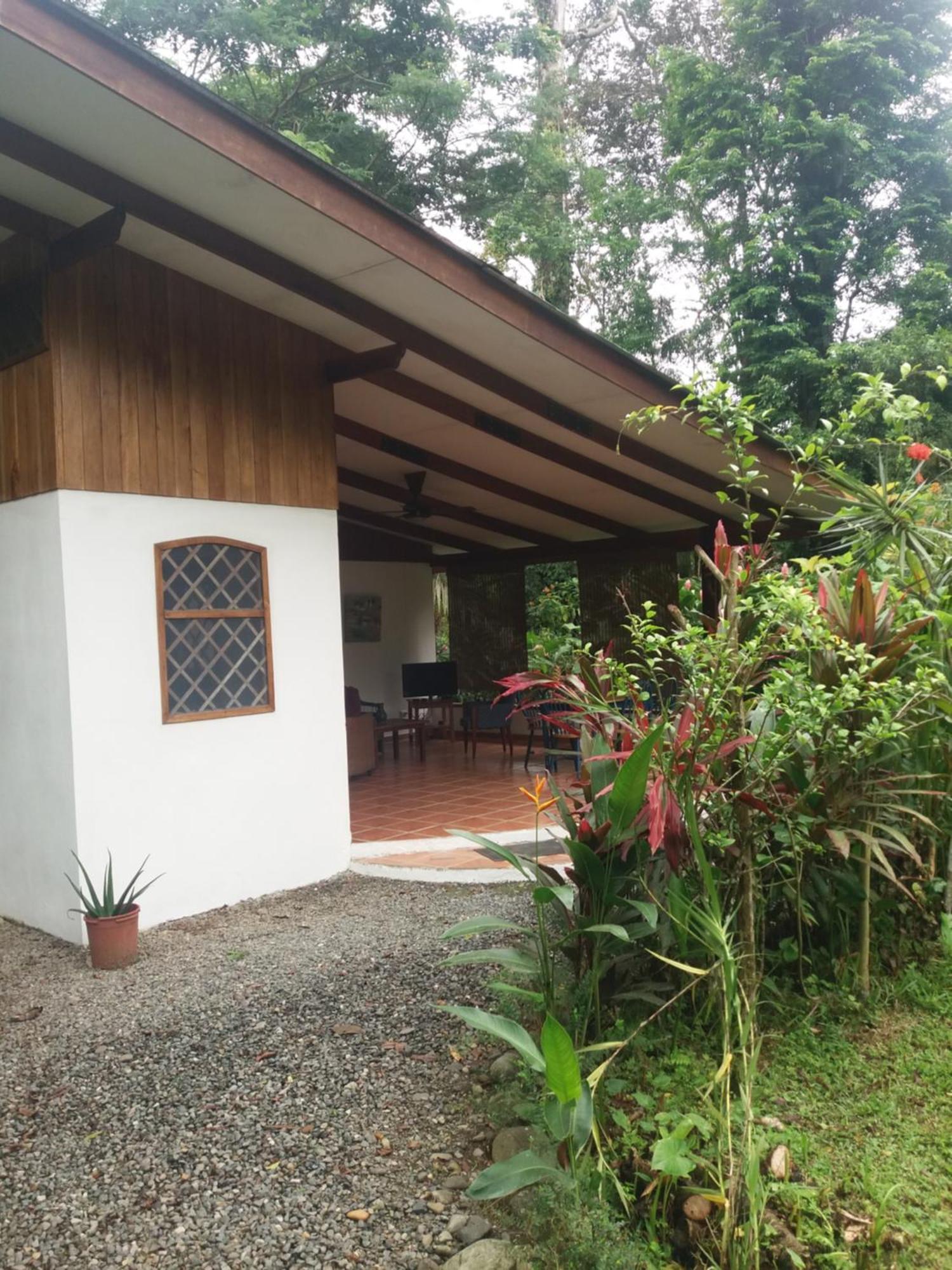 Puerto Viejo de Talamanca Los Delfines Lodge מראה חיצוני תמונה